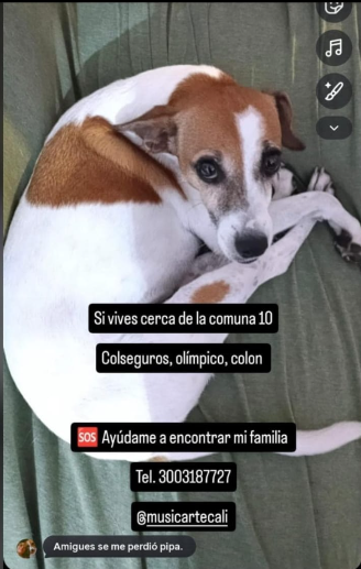 Foto de Sin nombre