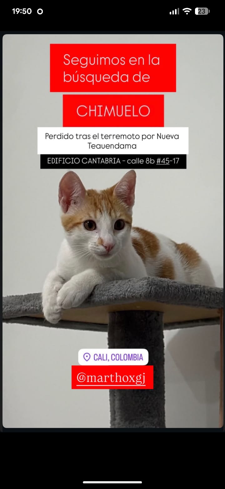 Foto de Chimuelo