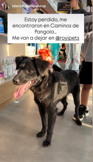 Foto de Sin nombre