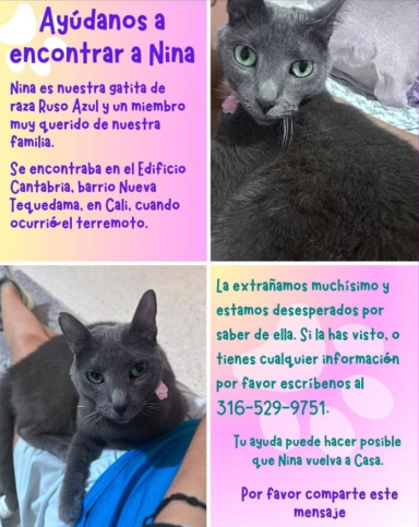 Foto de Nina