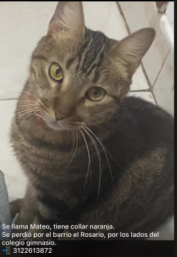 Foto de Mateo