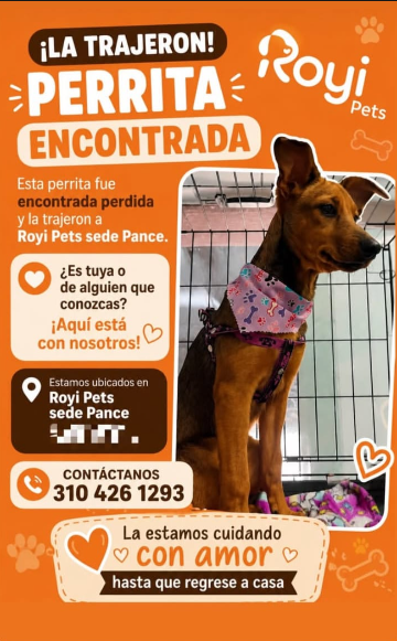 Foto de Sin nombre