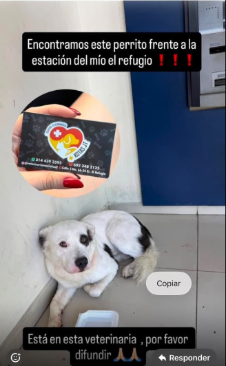 Foto de Sin nombre
