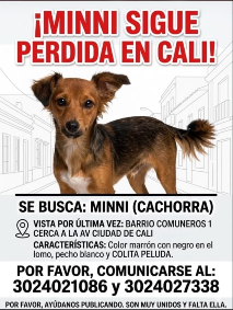 Foto de Minni