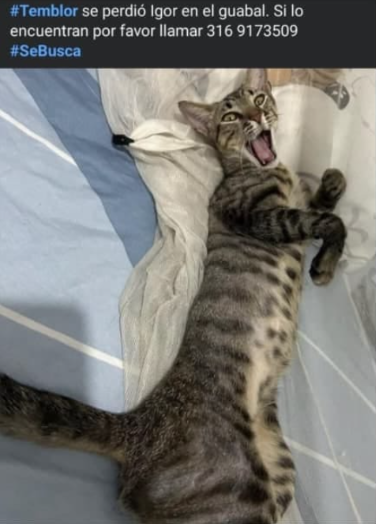 Foto de Igor