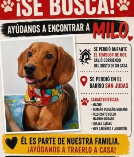 Foto de Milo