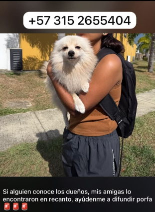Foto de Sin nombre