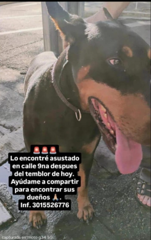 Foto de Sin nombre