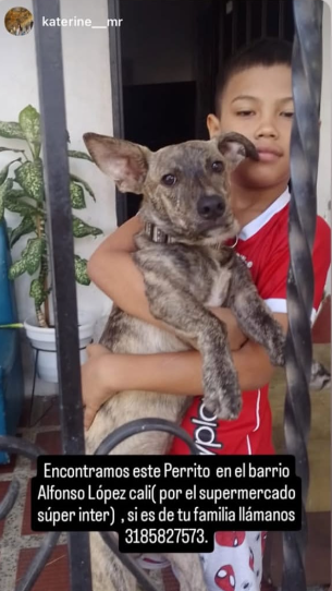 Foto de Sin nombre