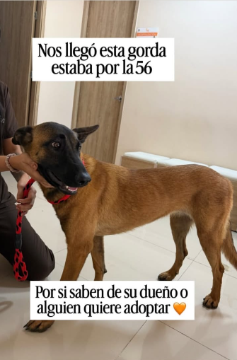 Foto de Sin nombre