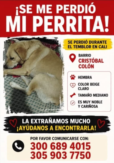 Foto de No dió el nombre