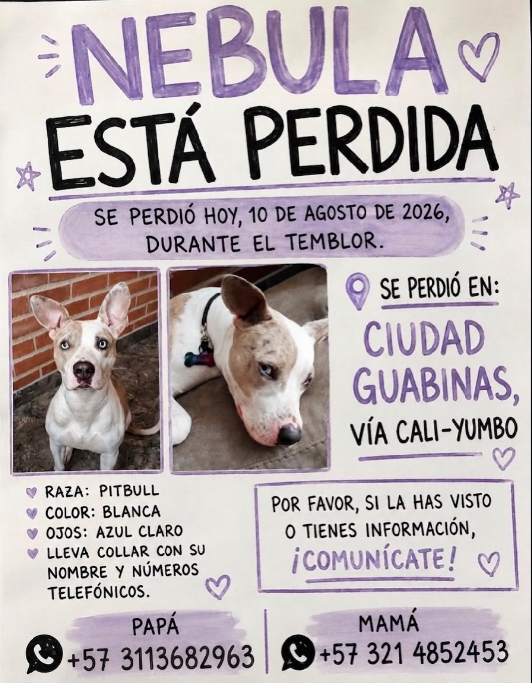 Foto de Nebula